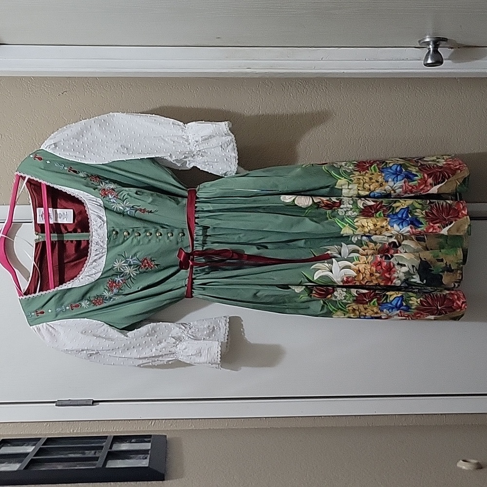 Disney Matterhorn Dress Shop Size 20